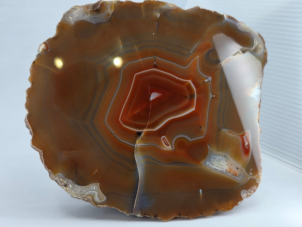 Achat (Achatscheibe) 1,304 kg +/- 17x15x2 cm