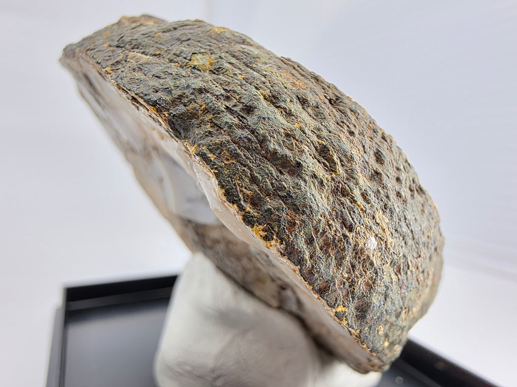 Achat 0,12 kg +/- 7x6x1,5 cm