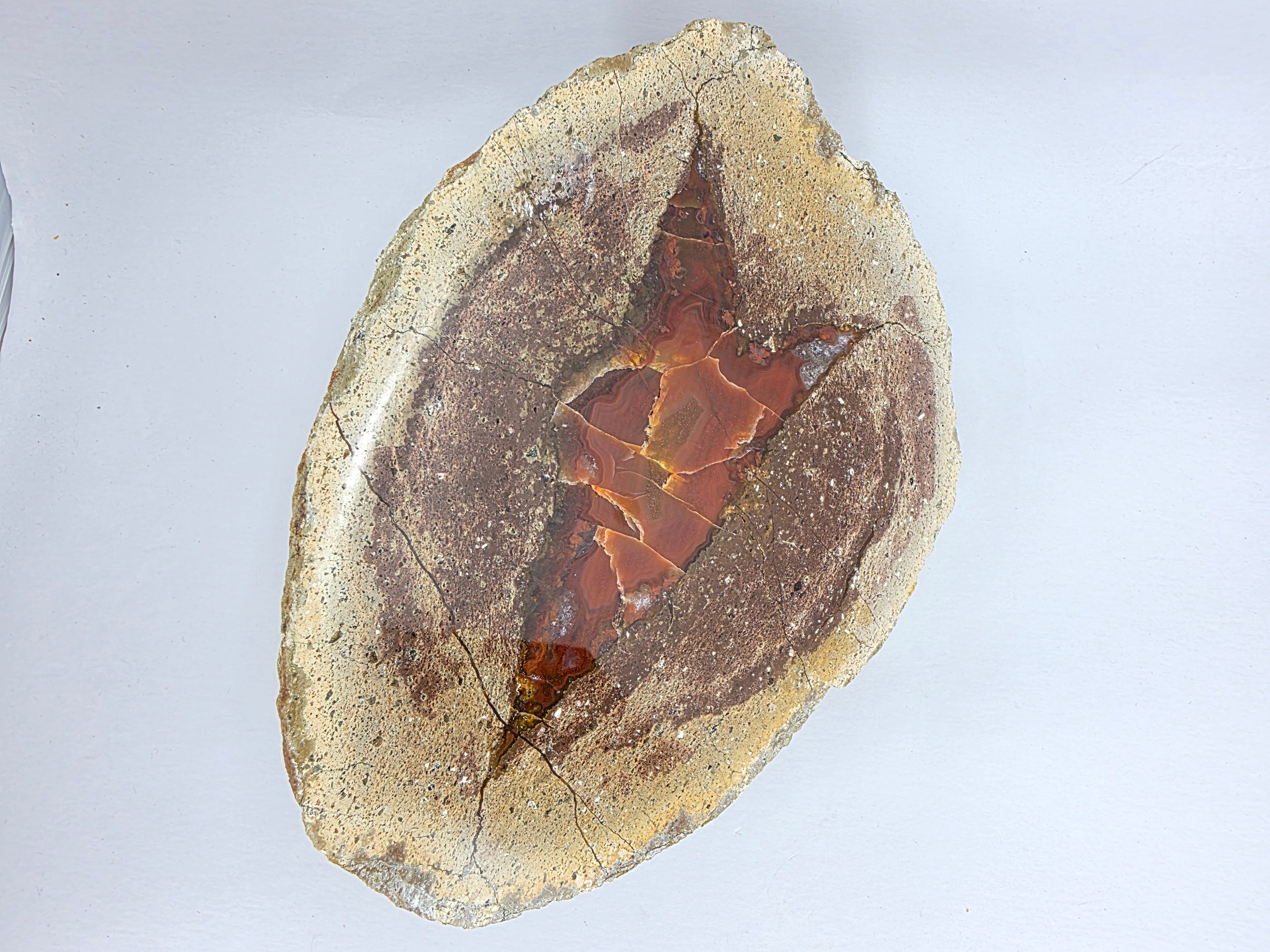 Achat 1,871 kg +/- 16x12,5x9 cm