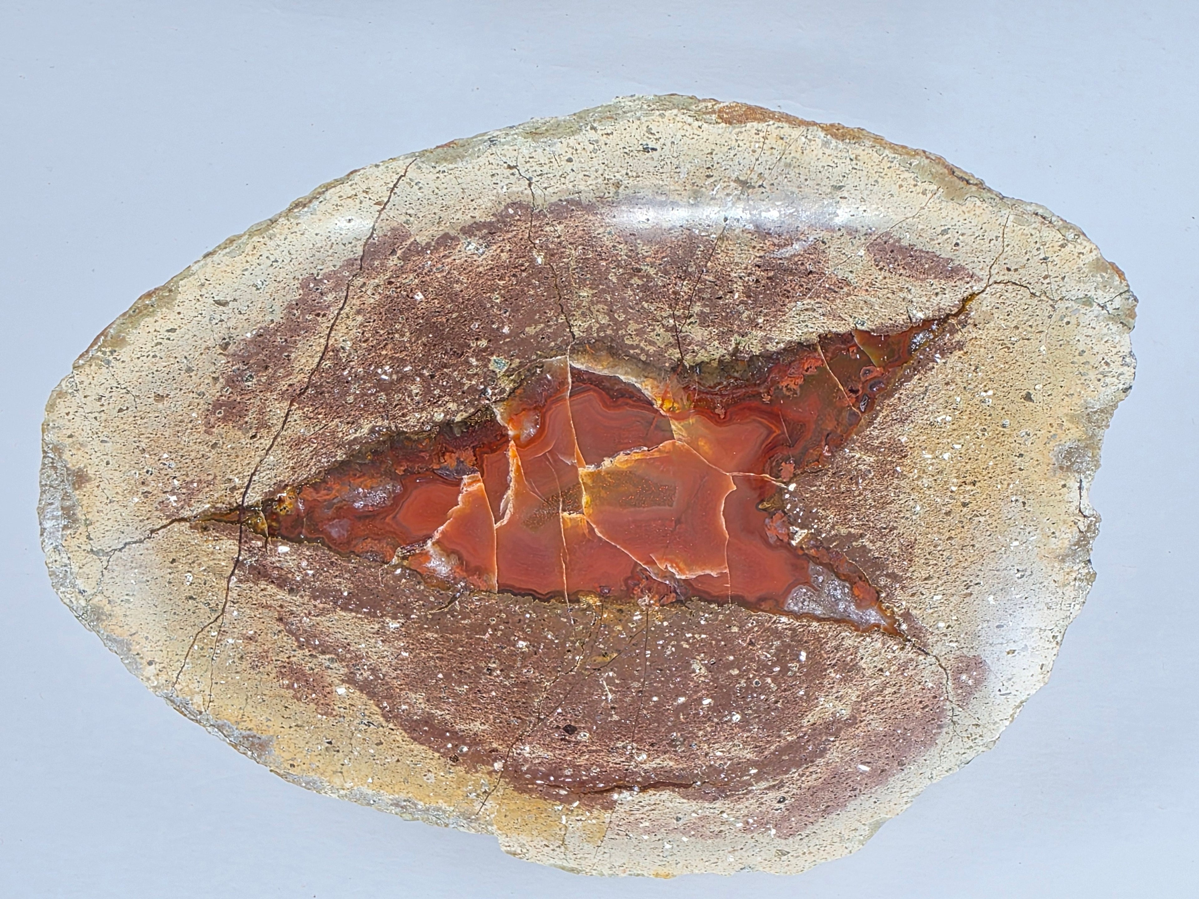 Achat 1,871 kg +/- 16x12,5x9 cm