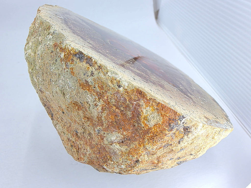 Achat 1,871 kg +/- 16x12,5x9 cm