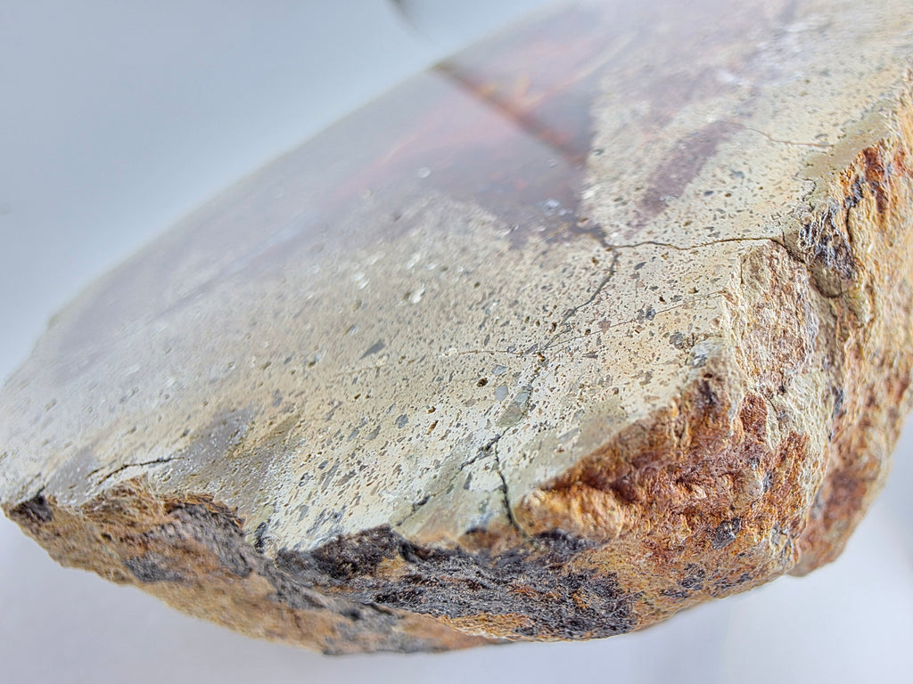 Achat 1,871 kg +/- 16x12,5x9 cm