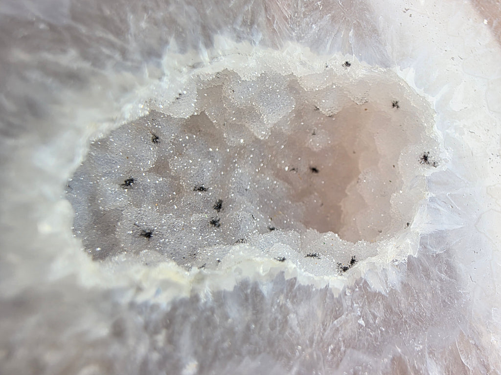 Achat 0,333 kg +/- 7x8x4 cm