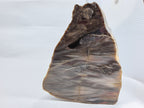 Versteinertes Holz 1,186 kg +/- 11x13x8 cm