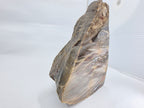 Versteinertes Holz 1,186 kg +/- 11x13x8 cm