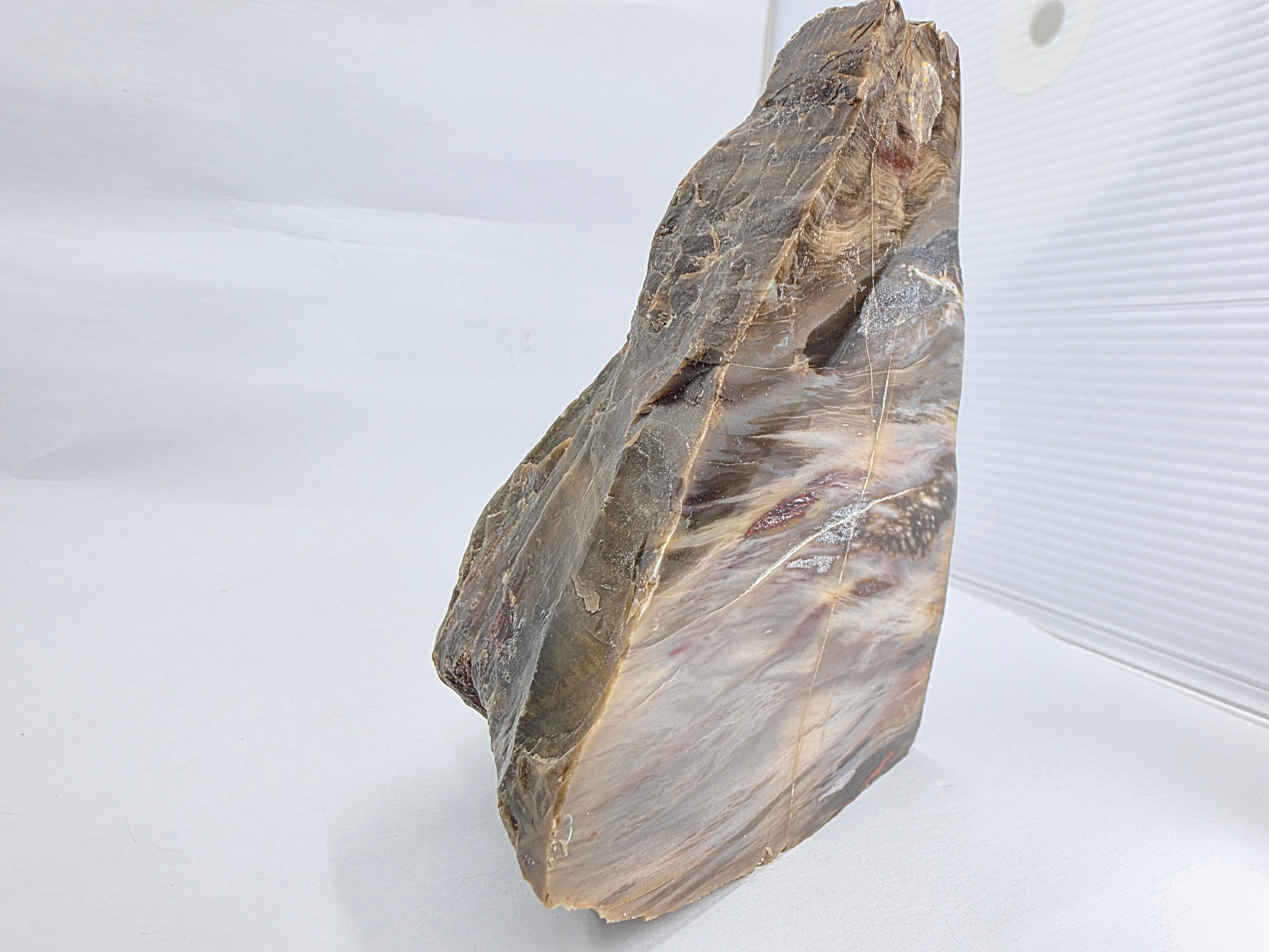 Versteinertes Holz 1,186 kg +/- 11x13x8 cm