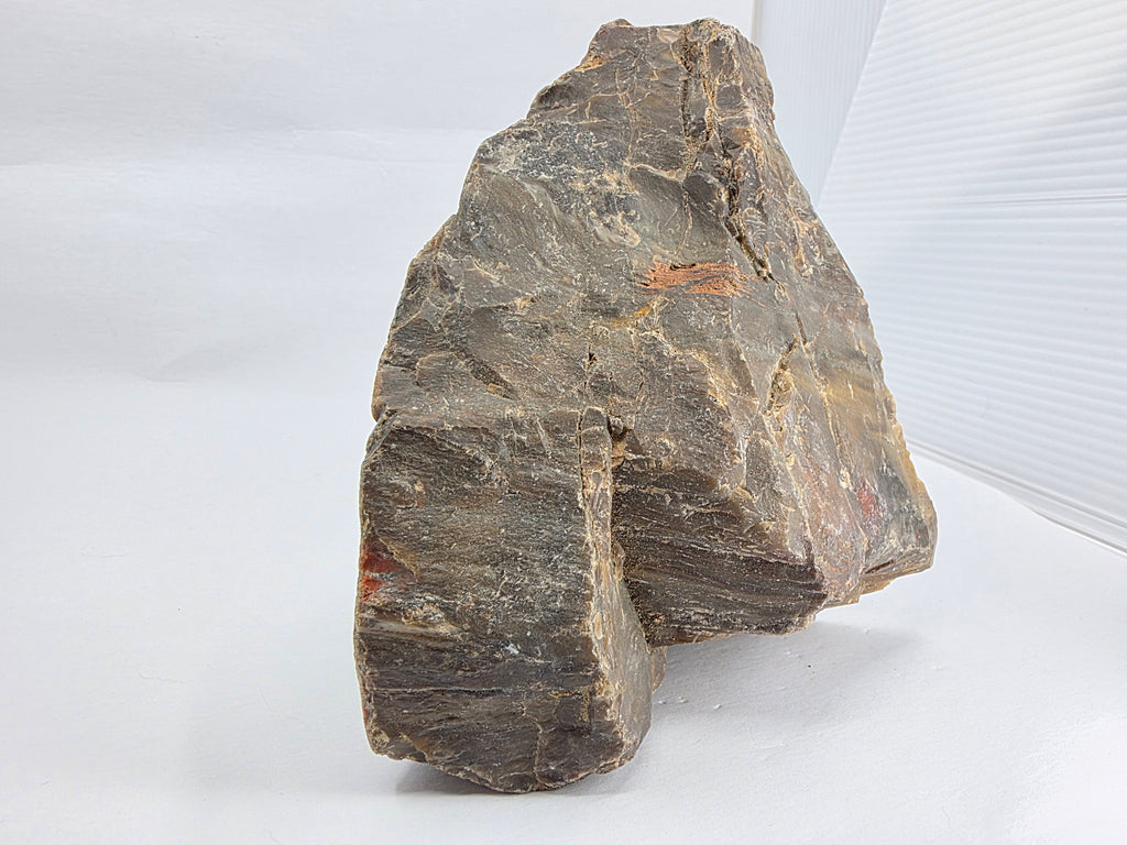 Versteinertes Holz 1,186 kg +/- 11x13x8 cm