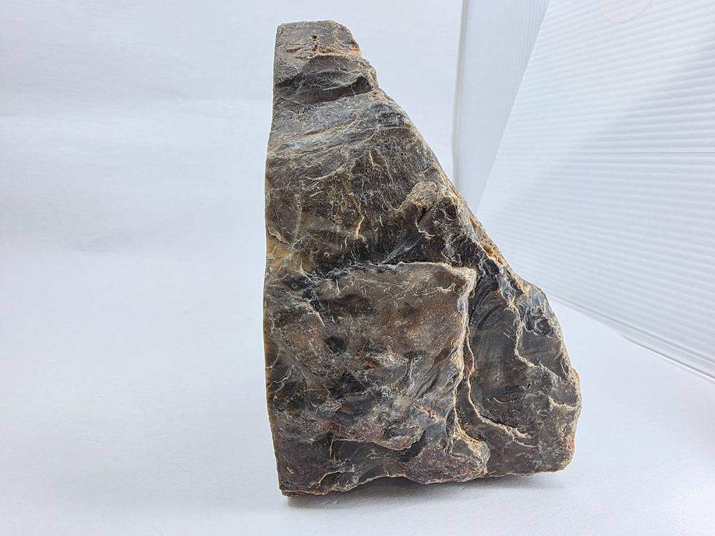 Versteinertes Holz 1,186 kg +/- 11x13x8 cm