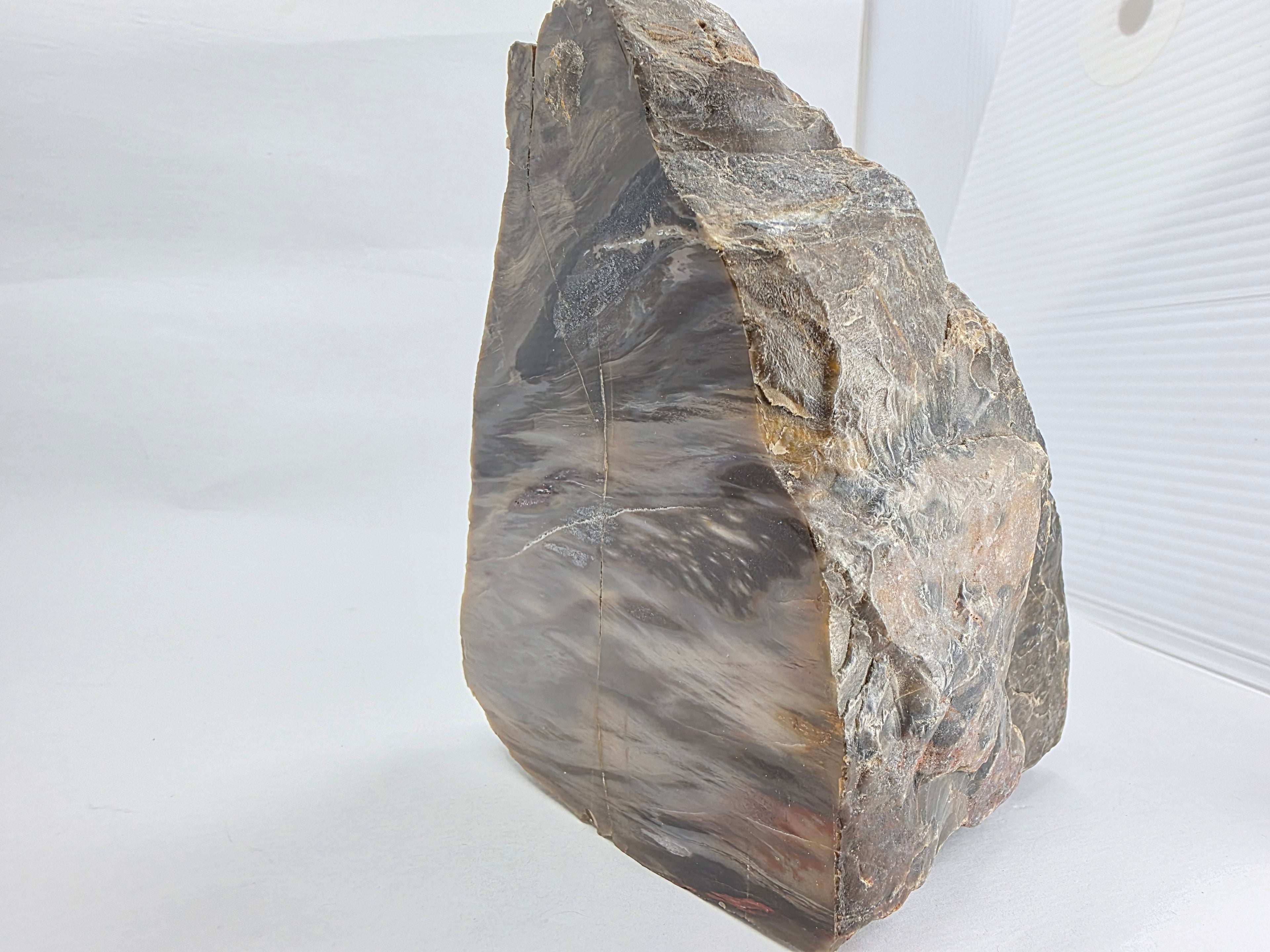 Versteinertes Holz 1,186 kg +/- 11x13x8 cm