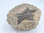 Moosachat 0,318 kg +/- 8x8x4 cm