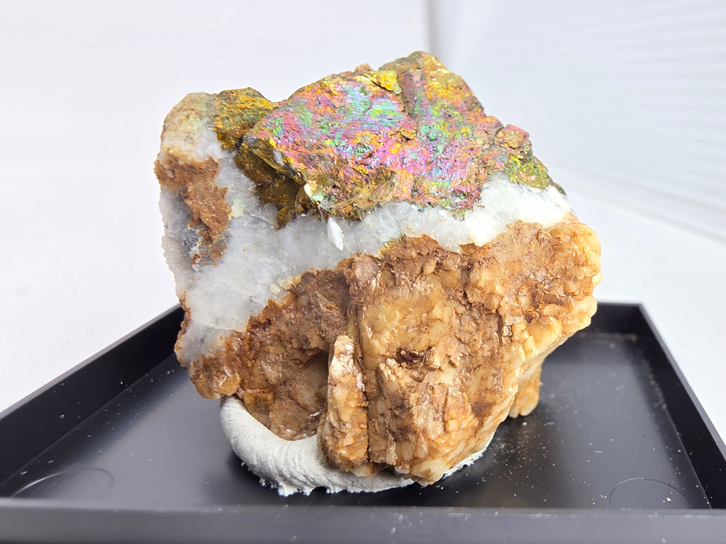 Chalkopyrit mit Quarz auf Siderit 0,03 kg +/- 4x4x2 cm