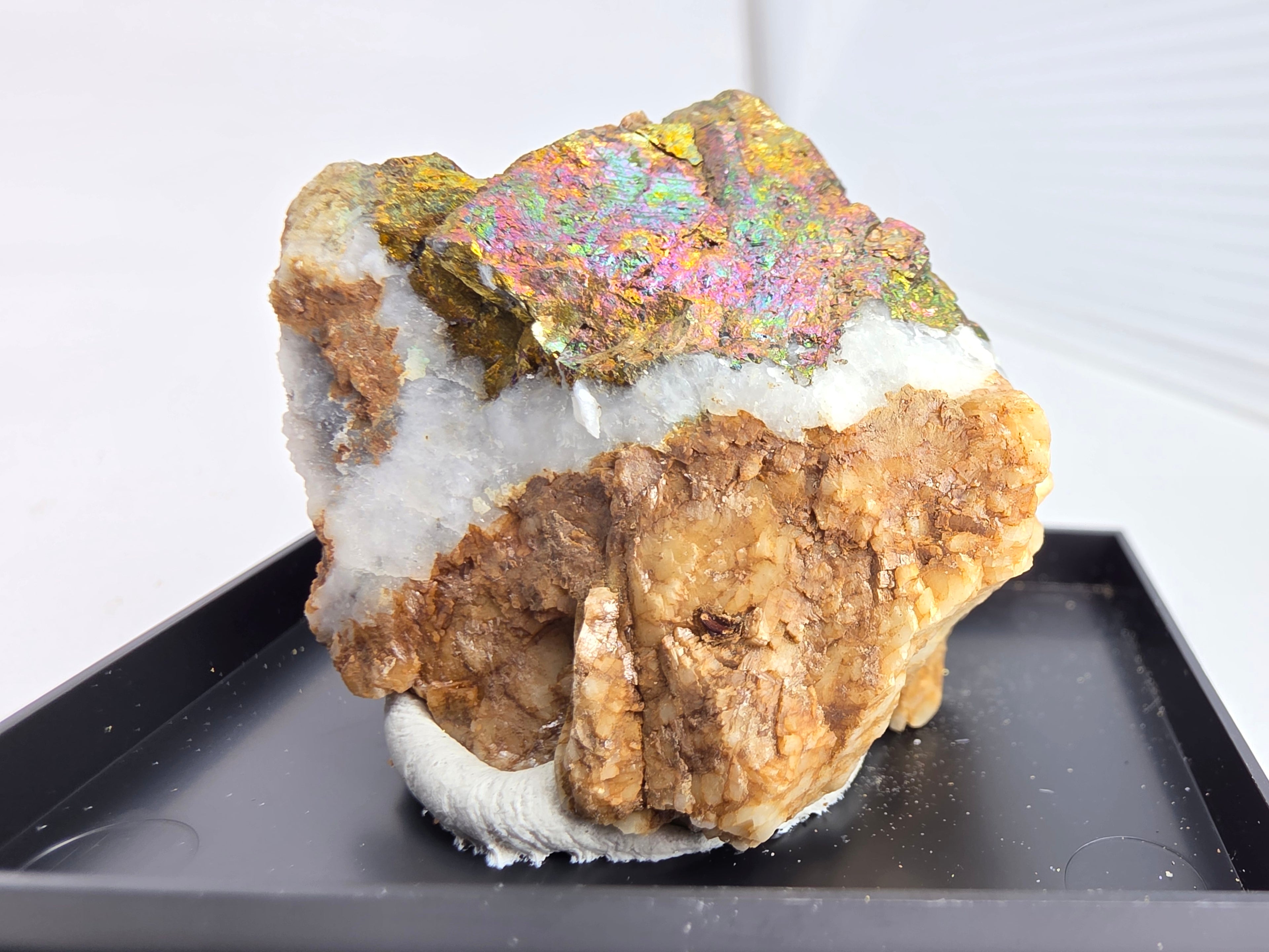Chalkopyrit mit Quarz auf Siderit 0,03 kg +/- 4x4x2 cm