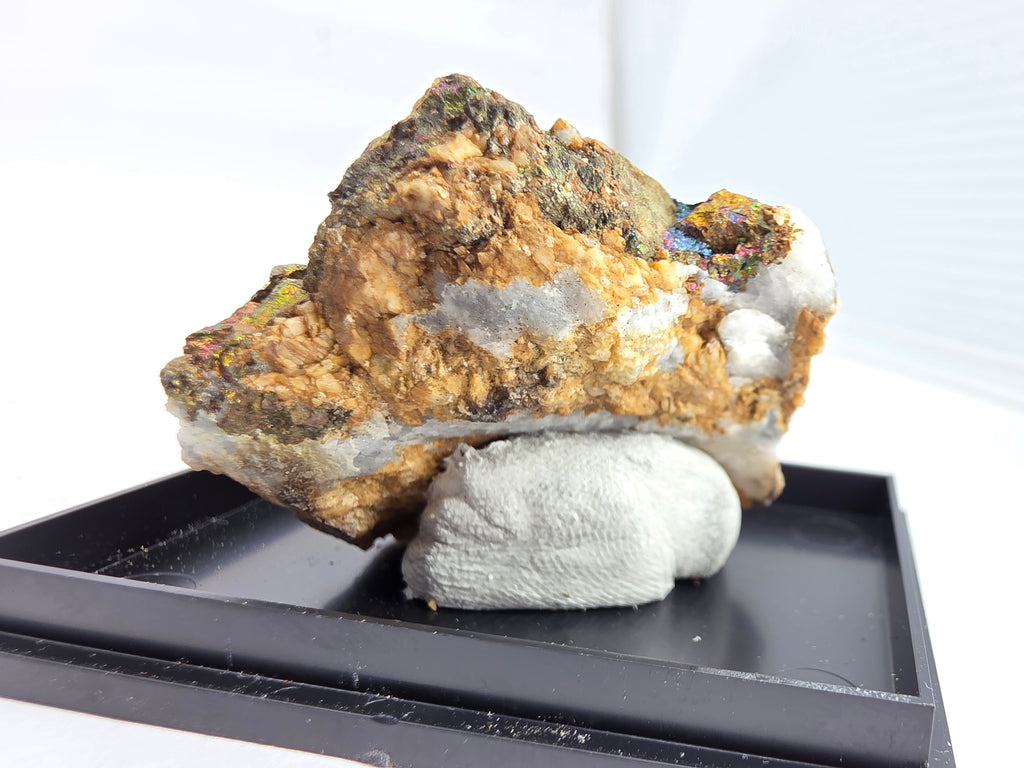 Chalkopyrit mit Quarz auf Siderit 0,03 kg +/- 4x4x2 cm