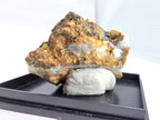 Chalkopyrit mit Quarz auf Siderit 0,03 kg +/- 4x4x2 cm