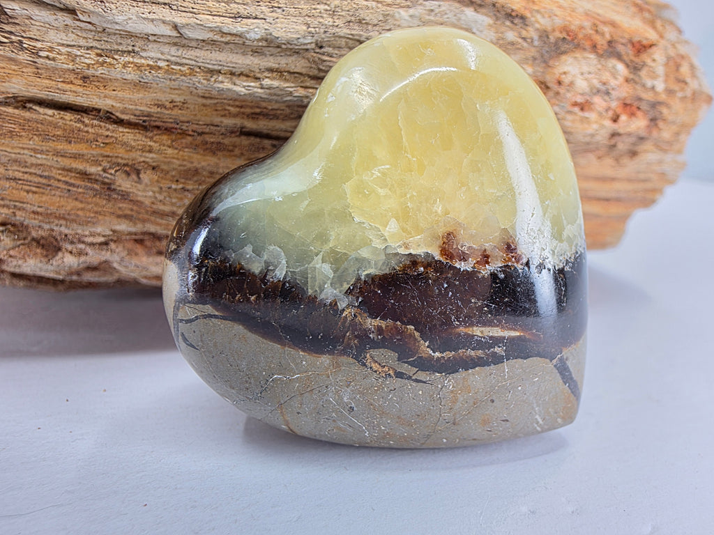 Septarie Herz +/- 4,5x4,5 cm
