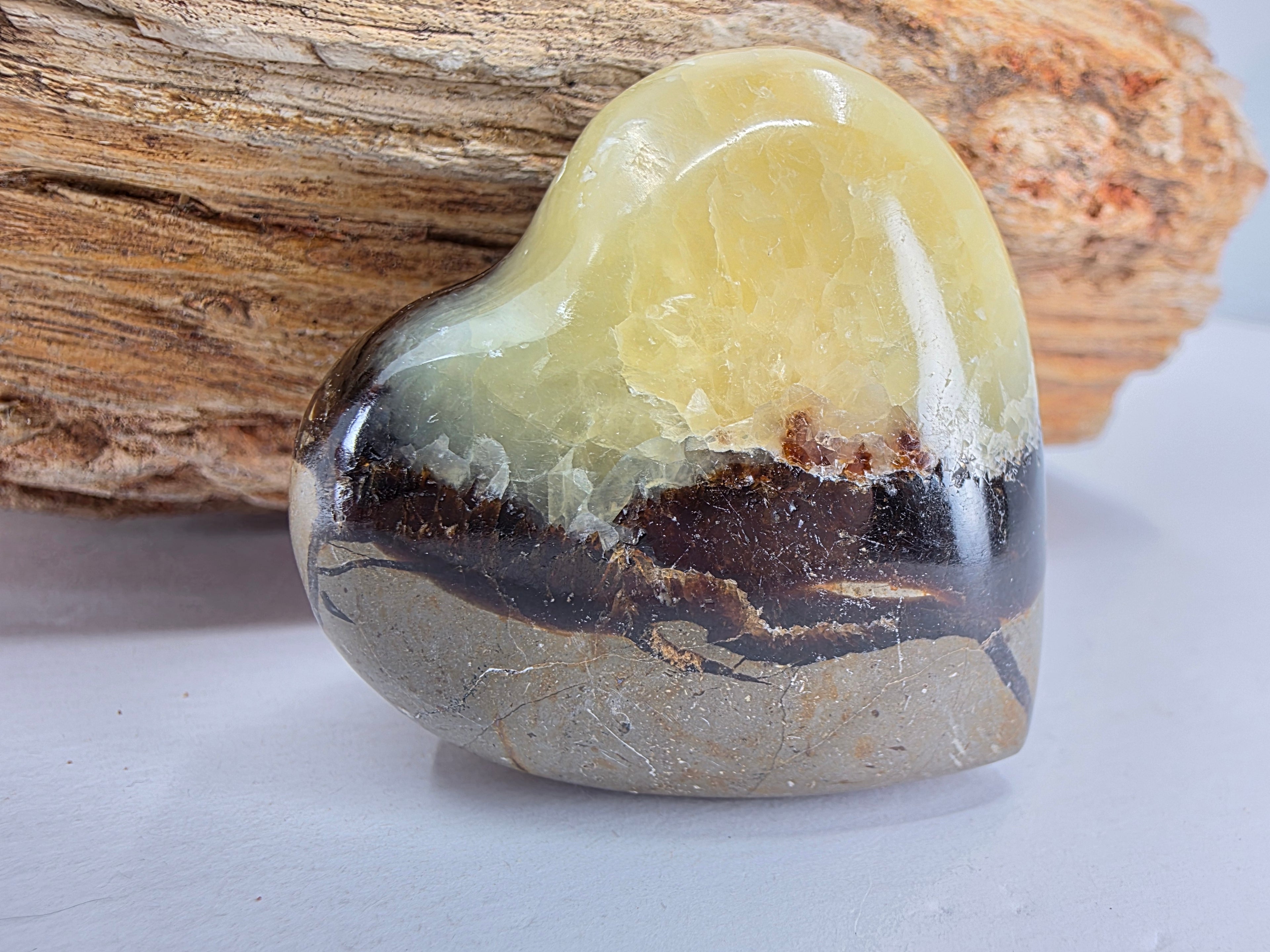 Septarie Herz +/- 4,5x4,5 cm