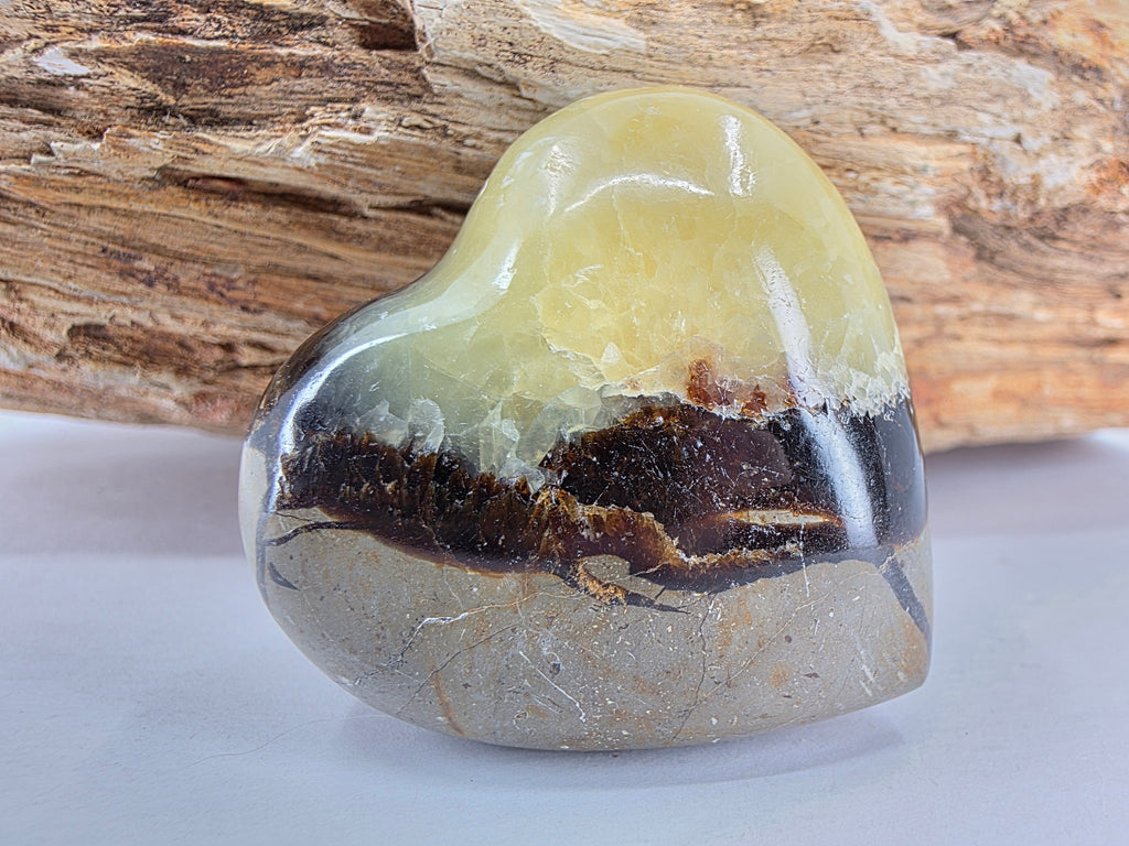 Septarie Herz +/- 4,5x4,5 cm