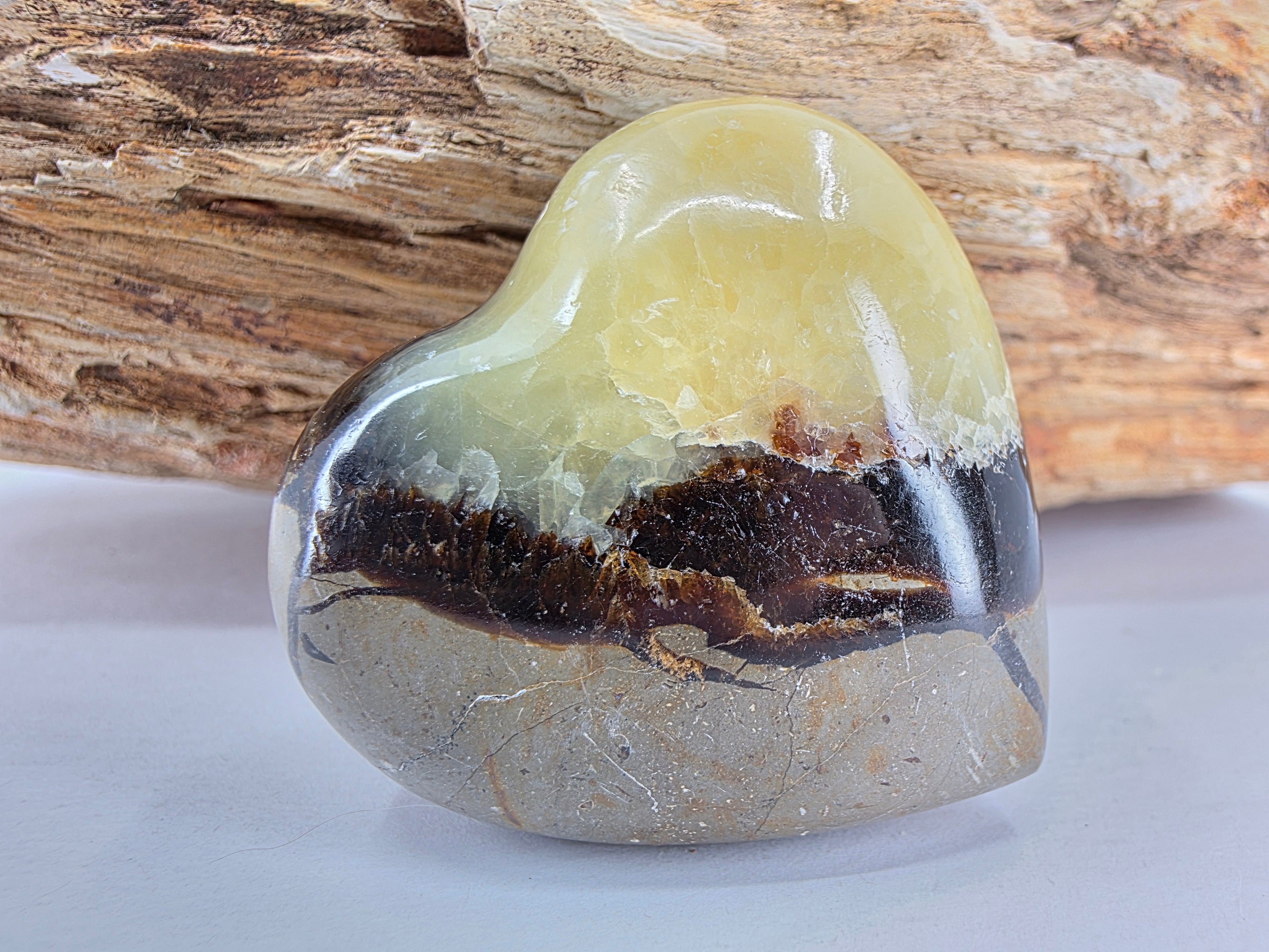 Septarie Herz +/- 4,5x4,5 cm