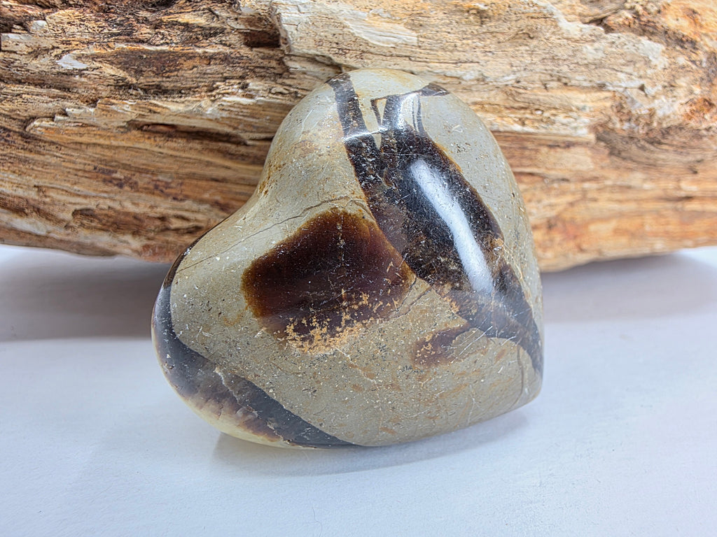 Septarie Herz +/- 4,5x4,5 cm