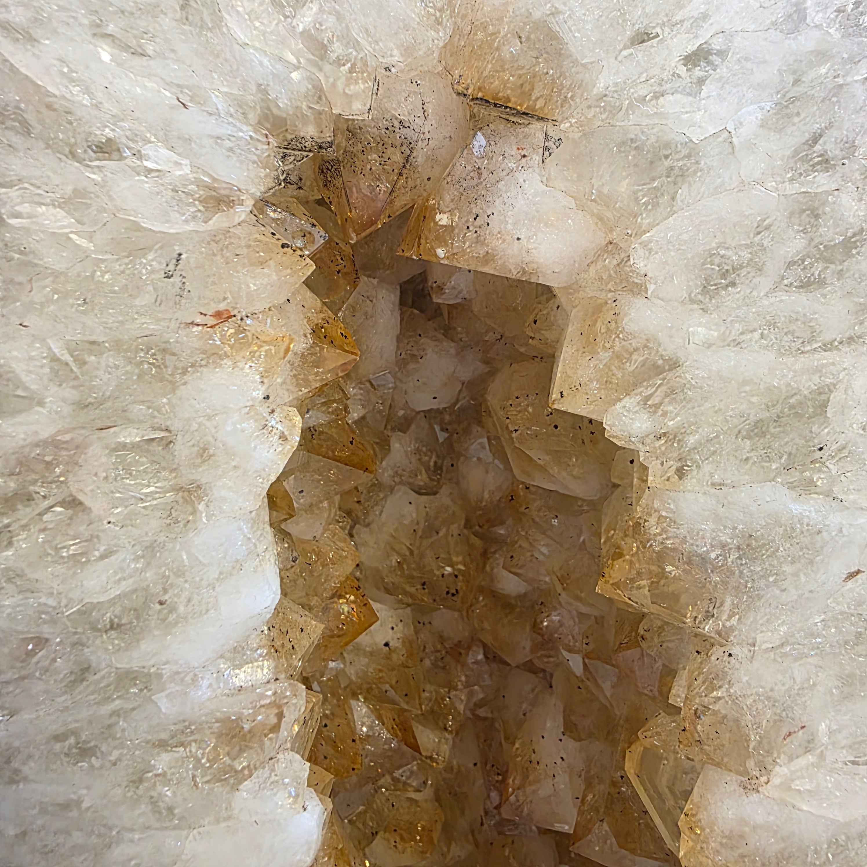 Citrin +/- 20,8 kg 48x20x18 cm