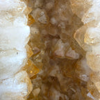 Citrin +/- 20,8 kg 48x20x18 cm