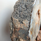 Achat +/- 12,71 kg 31x28x9 cm