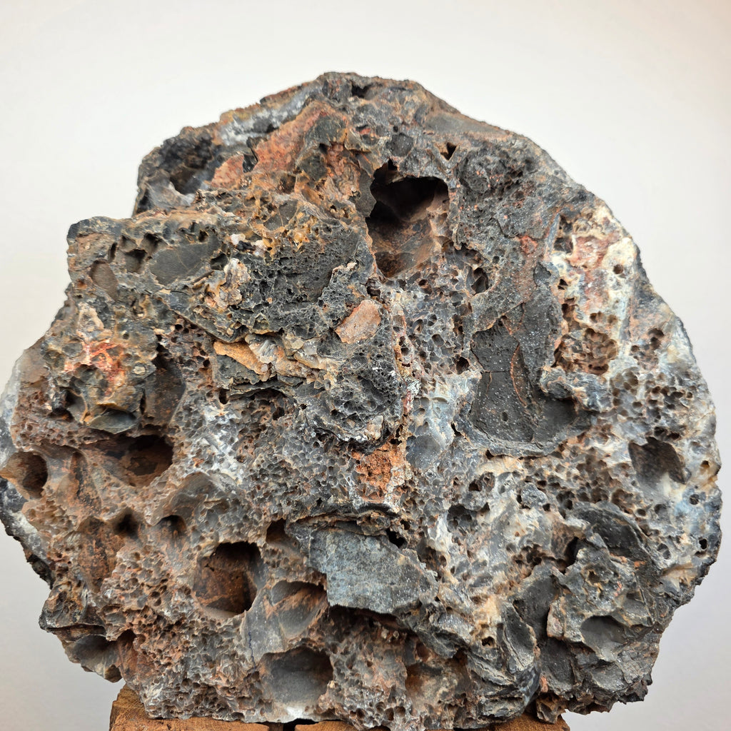 Achat +/- 12,71 kg 31x28x9 cm