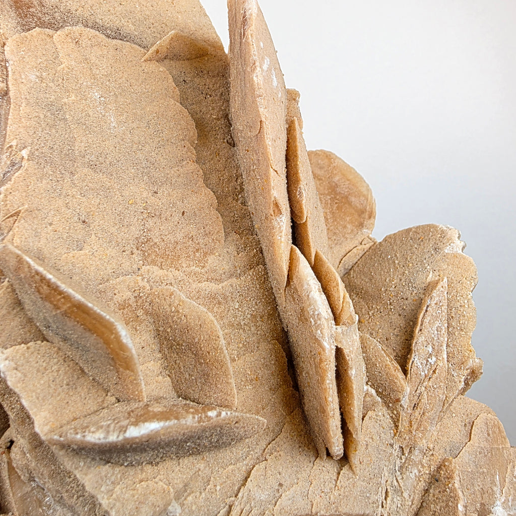 Sandrose +/- 5,37 kg 21x29x22 cm
