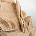 Sandrose +/- 5,37 kg 21x29x22 cm