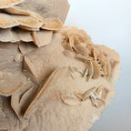 Sandrose +/- 5,37 kg 21x29x22 cm