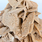 Sandrose +/- 6,95 kg 20x28x29 cm