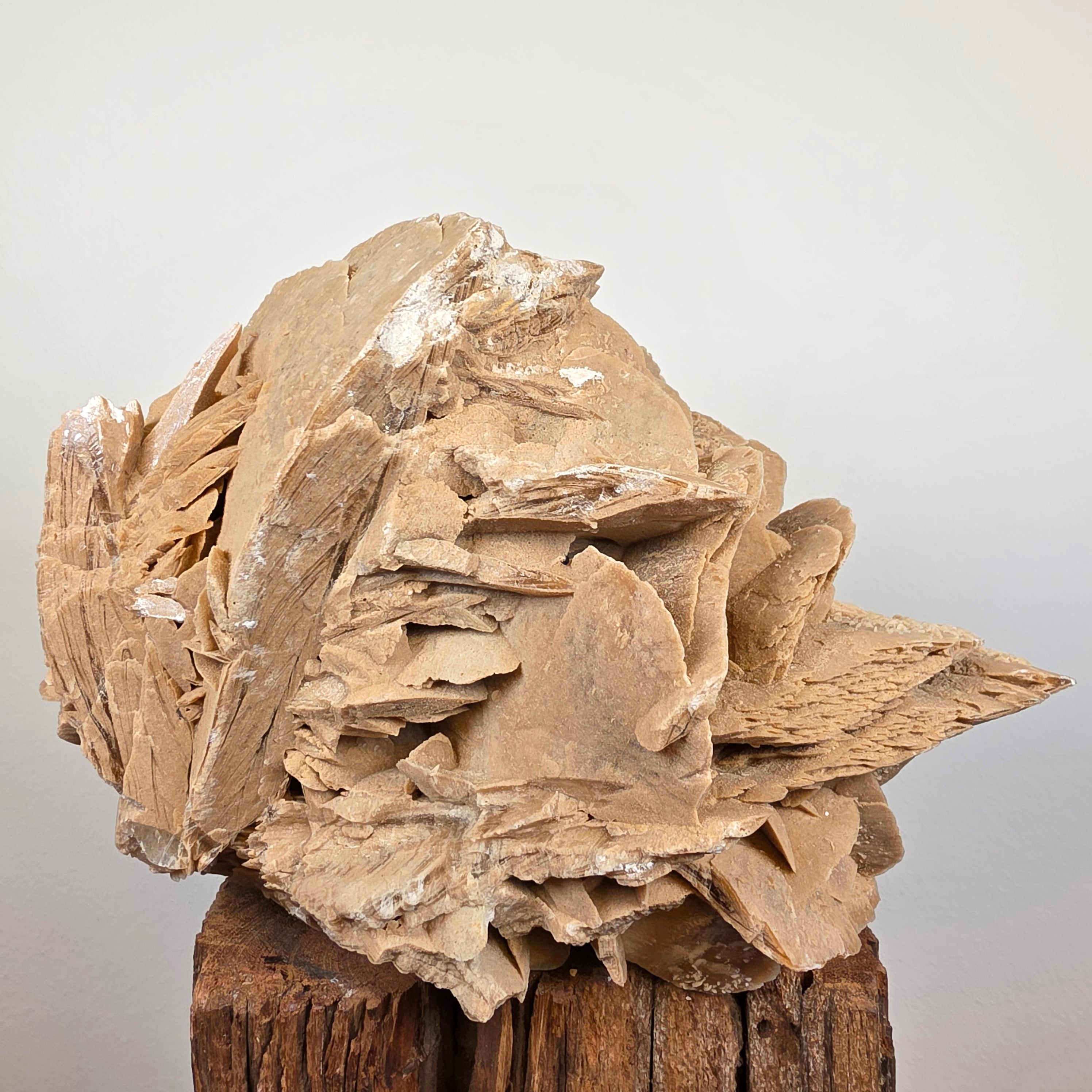 Sandrose +/- 6,95 kg 20x28x29 cm