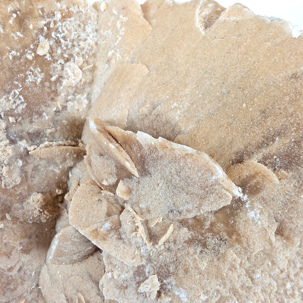 Sandrose +/- 6,07 kg 23x31x22 cm