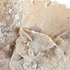 Sandrose +/- 6,07 kg 23x31x22 cm