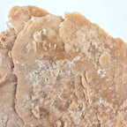 Sandrose +/- 6,07 kg 23x31x22 cm