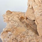 Sandrose +/- 6,07 kg 23x31x22 cm