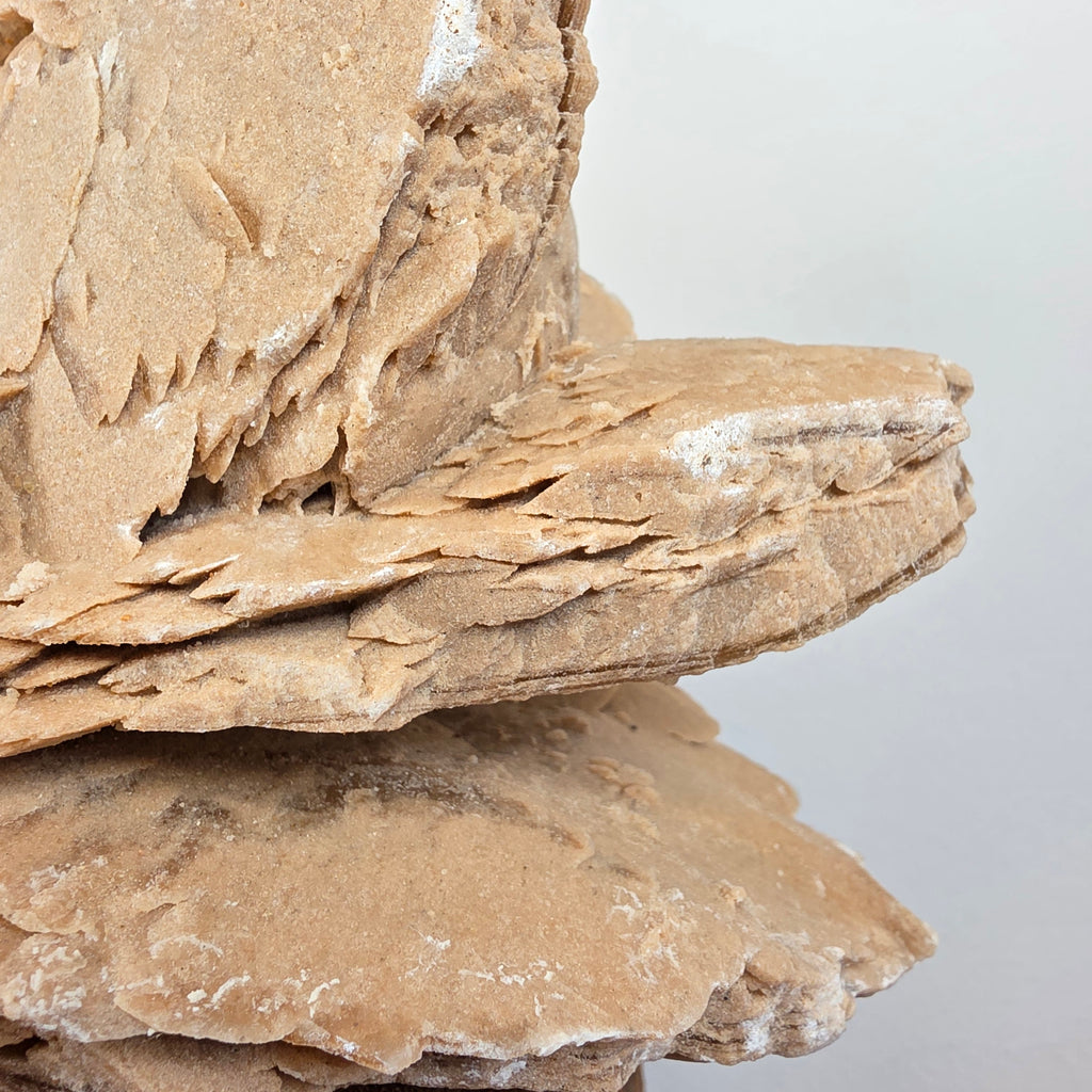 Sandrose +/- 6,07 kg 23x31x22 cm