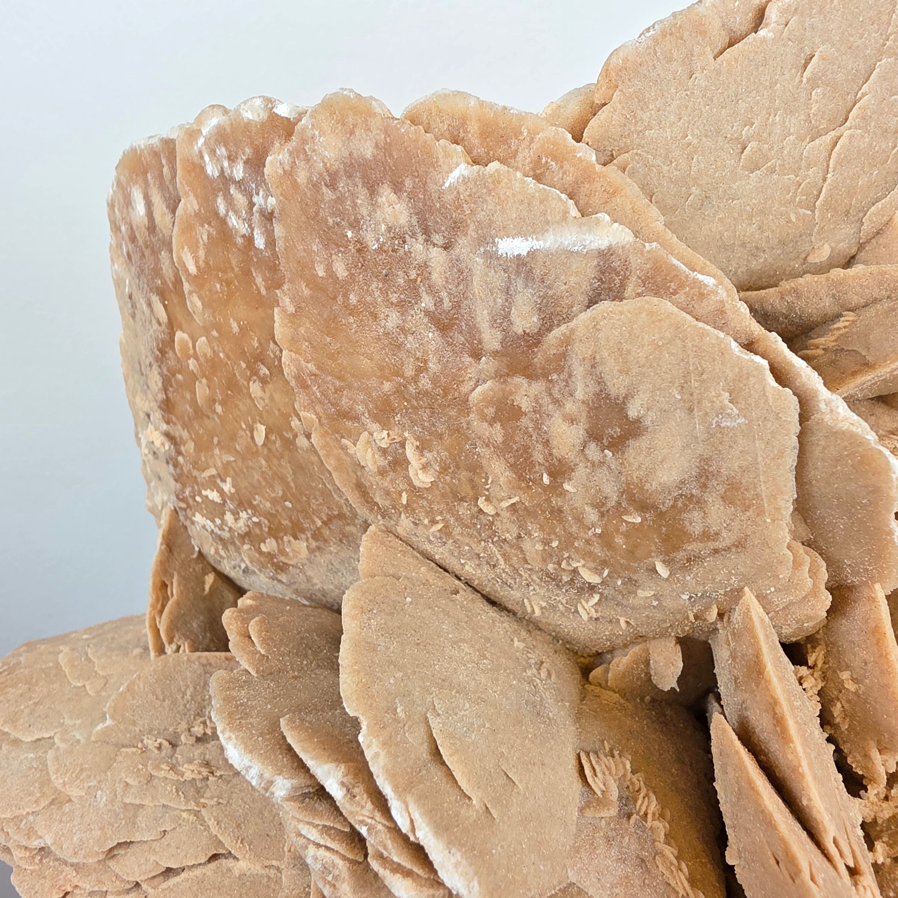 Sandrose +/- 6,07 kg 23x31x22 cm