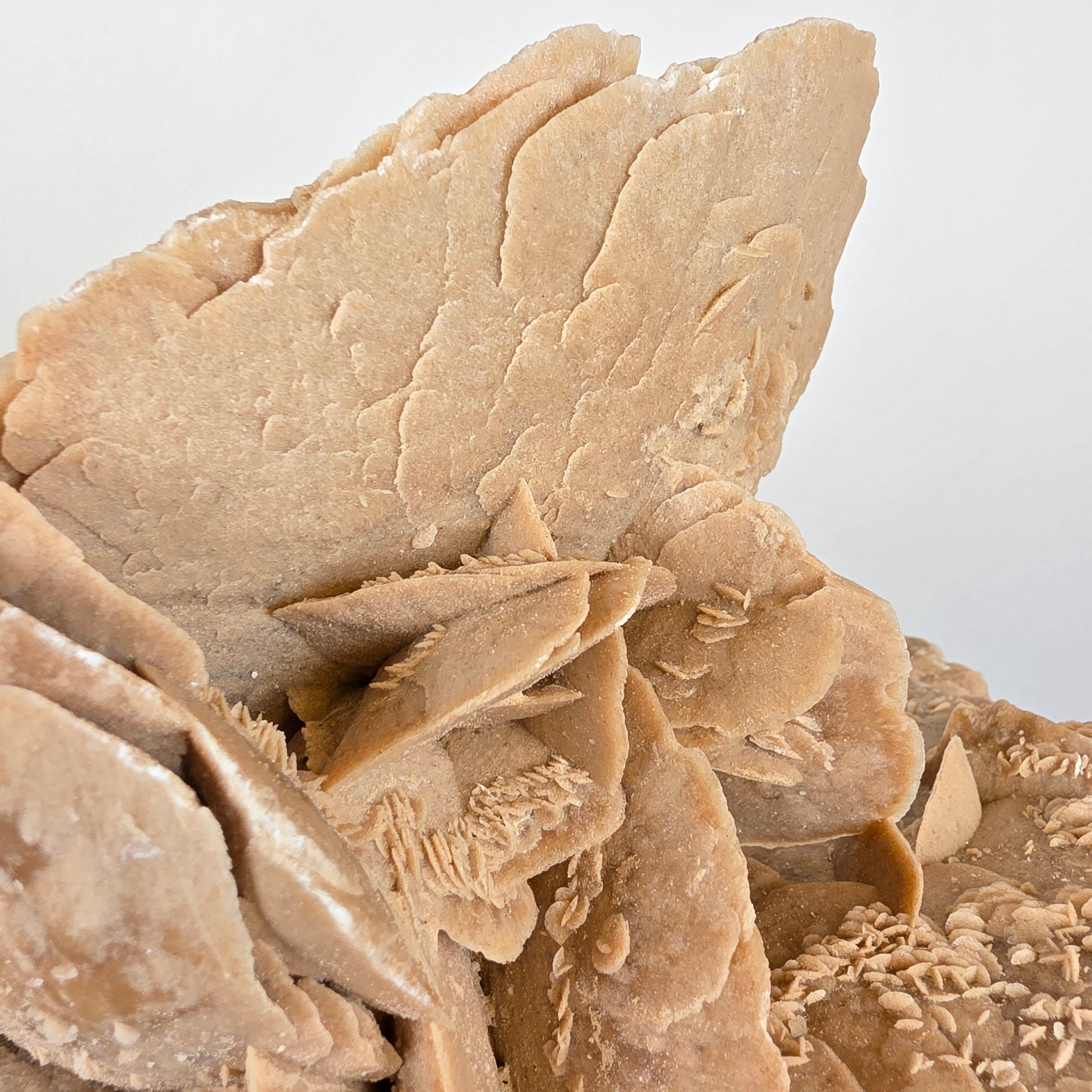 Sandrose +/- 6,07 kg 23x31x22 cm