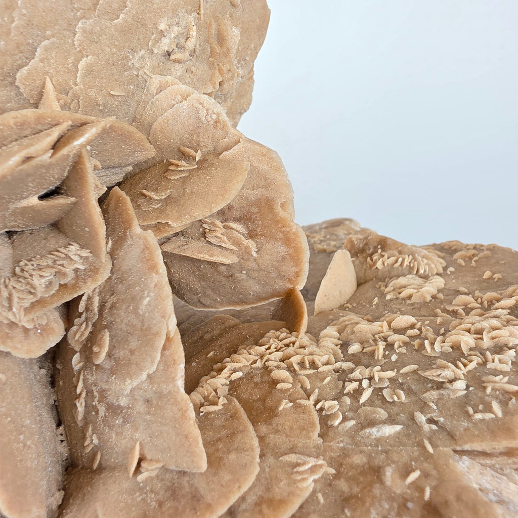 Sandrose +/- 6,07 kg 23x31x22 cm