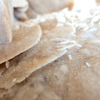 Sandrose +/- 6,07 kg 23x31x22 cm