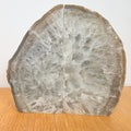 Achat +/- 3,8 kg 17,5x18,5x8 cm