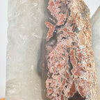 Achat +/- 3,8 kg 17,5x18,5x8 cm