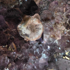 Amethyst +/- 42,7 kg 40x48,5x23 cm