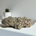 Muscovit 0,064 kg +/- 9x3,5x3 cm
