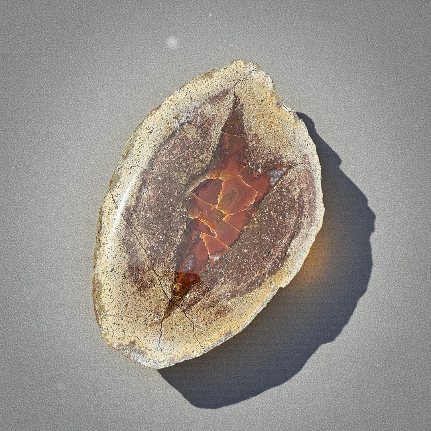 Achat 1,871 kg +/- 16x12,5x9 cm