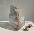 Versteinertes Holz 1,186 kg +/- 11x13x8 cm