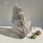 Versteinertes Holz 1,186 kg +/- 11x13x8 cm
