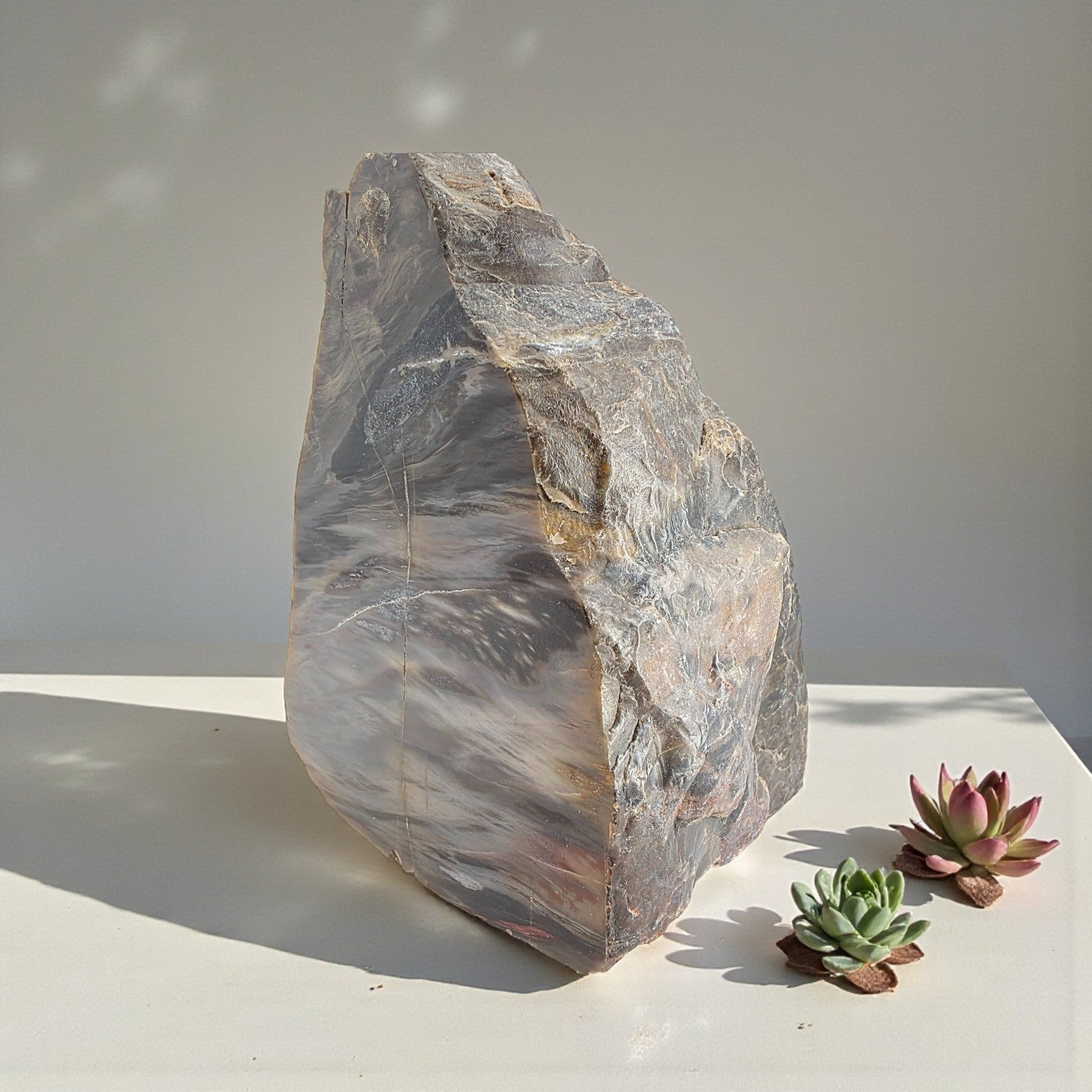 Versteinertes Holz 1,186 kg +/- 11x13x8 cm