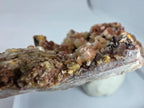 Ankerit mit Siderit und Quarz 0,1 kg +/- 8x4x3 cm